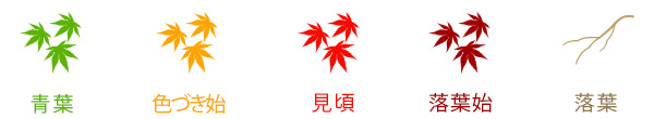 表記に関する説明